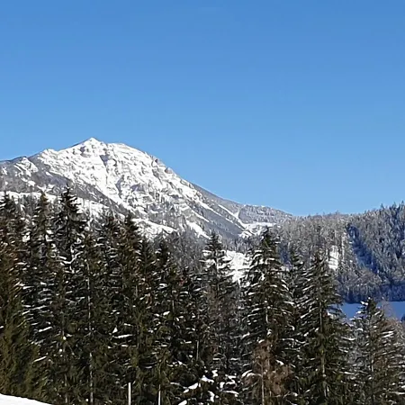 Biobauernhof Obereck Daire Göstling an der Ybbs