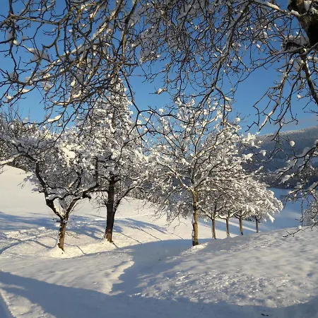 Biobauernhof Obereck شقة