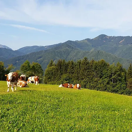 Biobauernhof Obereck