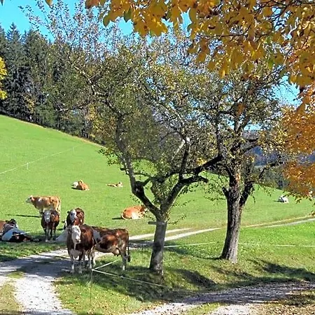 Biobauernhof Obereck Apartamento Göstling an der Ybbs