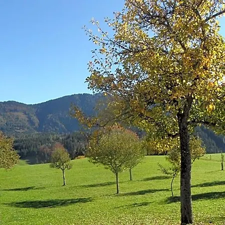 Biobauernhof Obereck Apartamento *