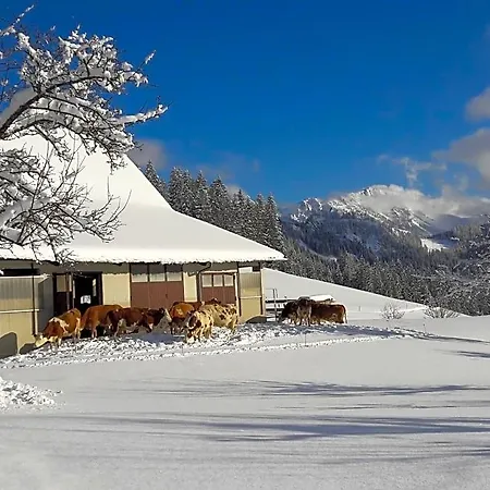 Biobauernhof Obereck Apartamento Göstling an der Ybbs