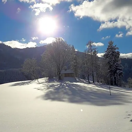 Biobauernhof Obereck * Göstling an der Ybbs