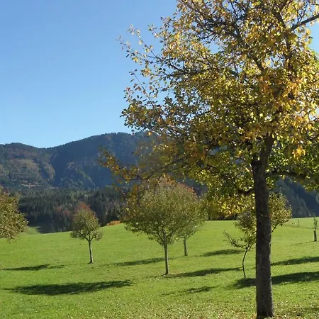 Biobauernhof Obereck Apartmán Göstling an der Ybbs