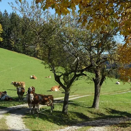 Biobauernhof Obereck Apartment