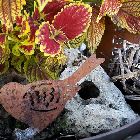 Biobauernhof Obereck شقة