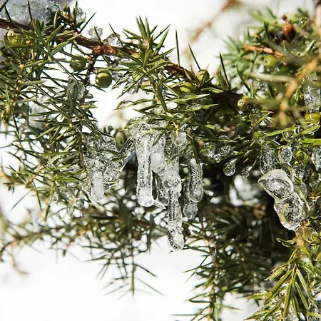 Biobauernhof Obereck Lejlighed Göstling an der Ybbs