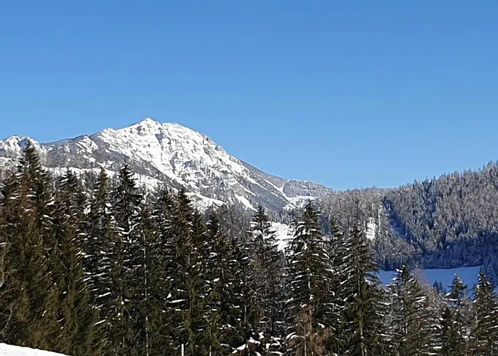 Biobauernhof Obereck Apartament Göstling an der Ybbs
