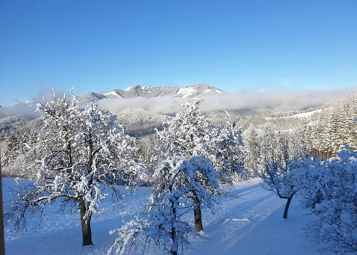 Biobauernhof Obereck アパート *