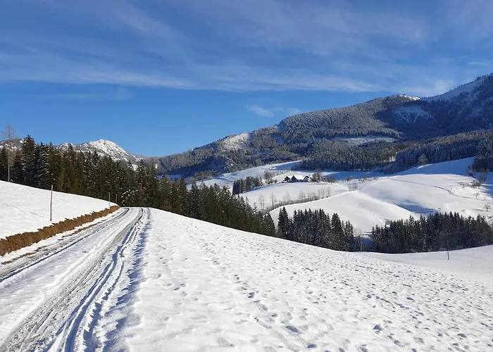 Biobauernhof Obereck Apartamento Göstling an der Ybbs