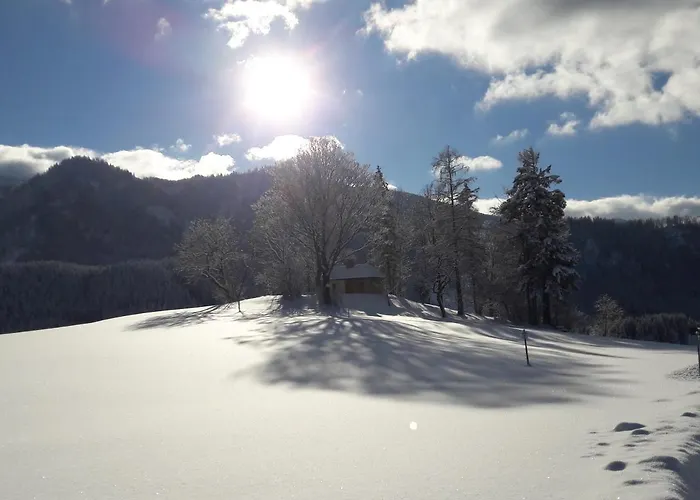 Biobauernhof Obereck * Göstling an der Ybbs