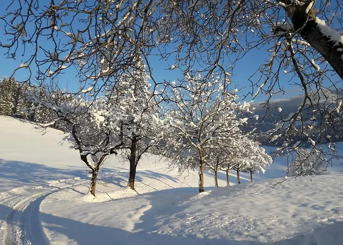 Biobauernhof Obereck Apartamento