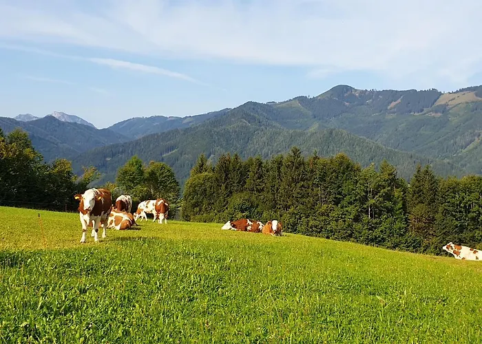 Biobauernhof Obereck