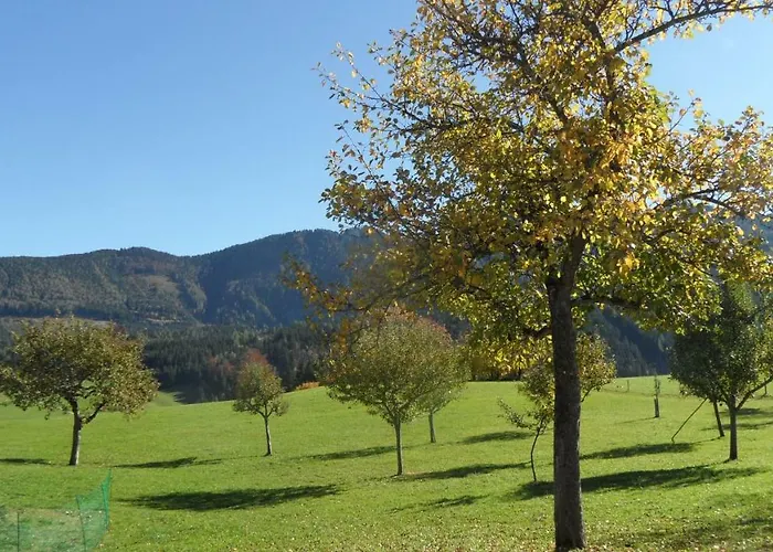 Biobauernhof Obereck Apartament Göstling an der Ybbs