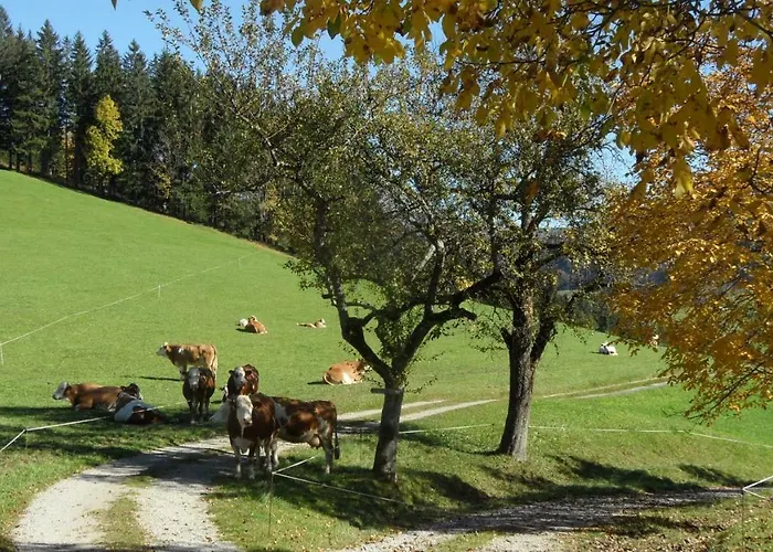 Biobauernhof Obereck Apartament