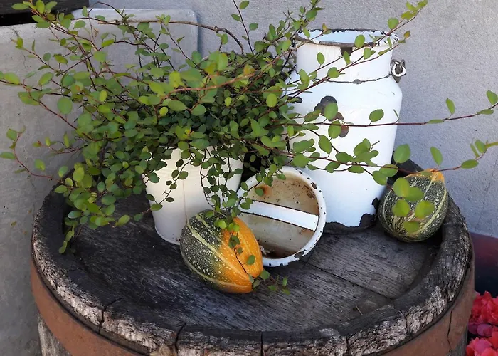 Biobauernhof Obereck ゲストリング・アン・デア・イップス