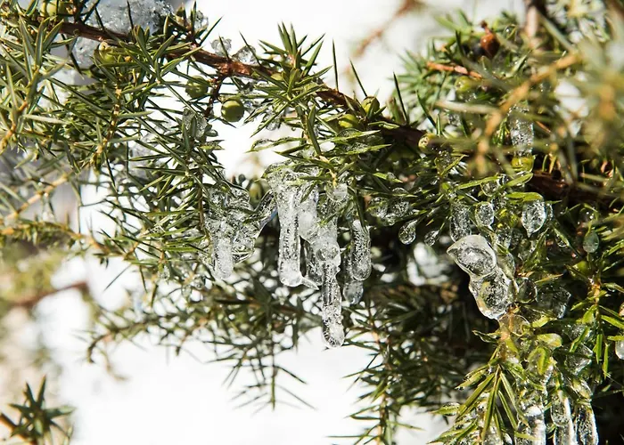 Biobauernhof Obereck Apartamento Göstling an der Ybbs