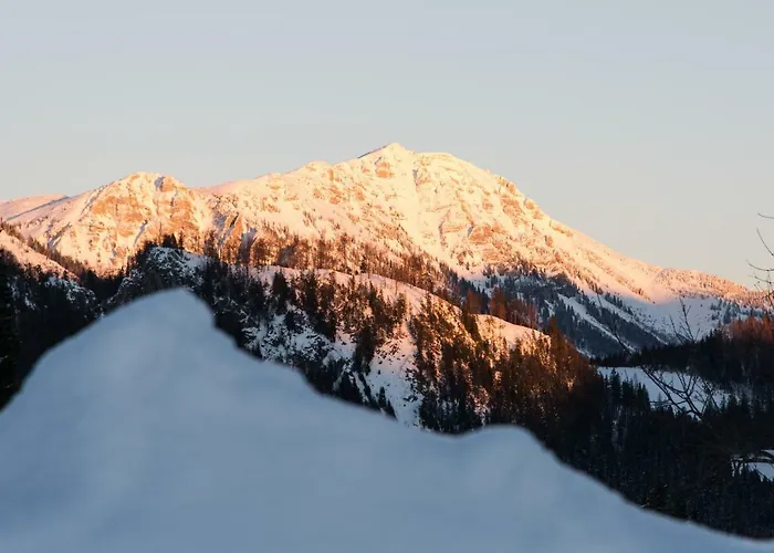 Biobauernhof Obereck Apartament Göstling an der Ybbs